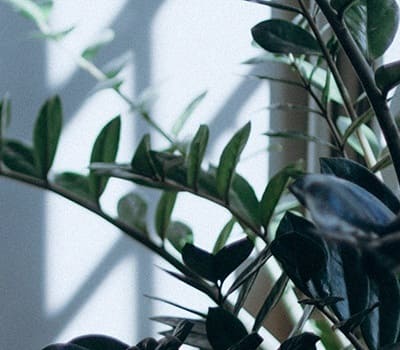 リノベーション Re.Design